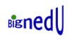 Bignedu